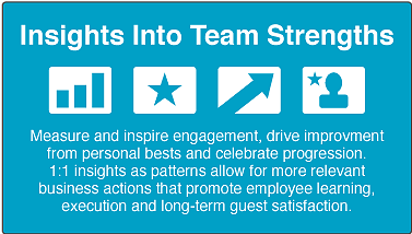 inside into team strengths inside into team strengths